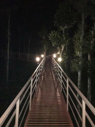 Agroturismo Harmony Farm Wayanad