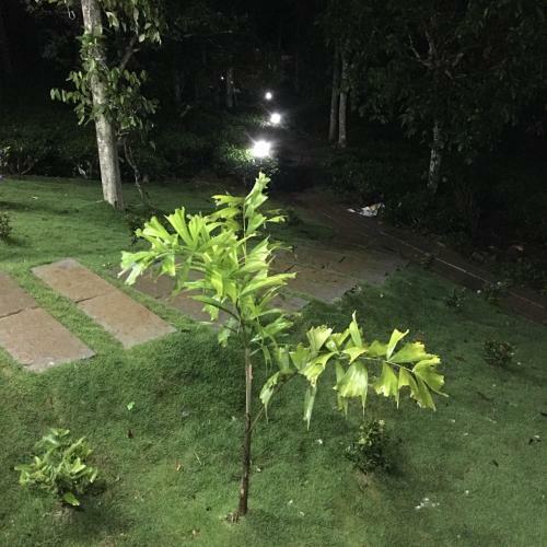 Agroturismo Harmony Farm Wayanad
