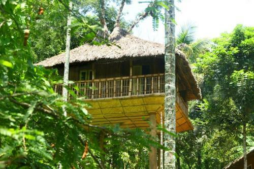 Kalidasa Tree House And Villa