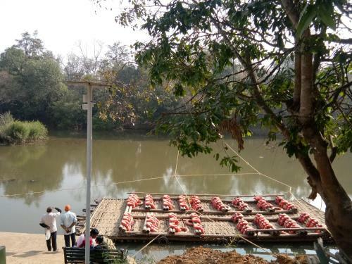 Kalidasa Tree House And Villa