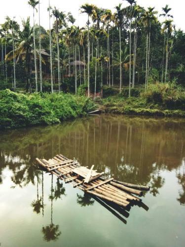 Kalidasa Tree House And Villa