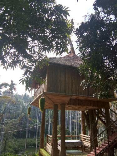 Kalidasa Tree House And Villa