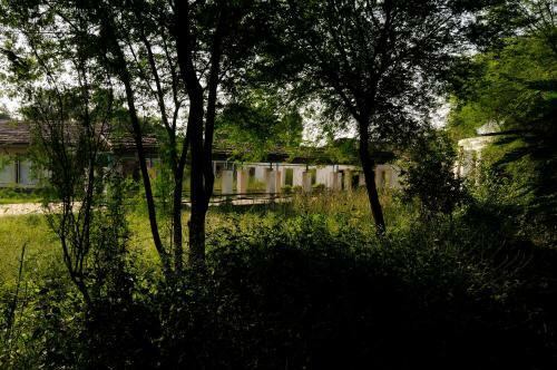 Hotel Trees N Tiger Sariska