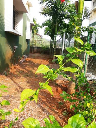 Reena Cottage Villa Bungalow 4