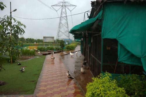 Super Deluxe Room Accommodation At Malshej