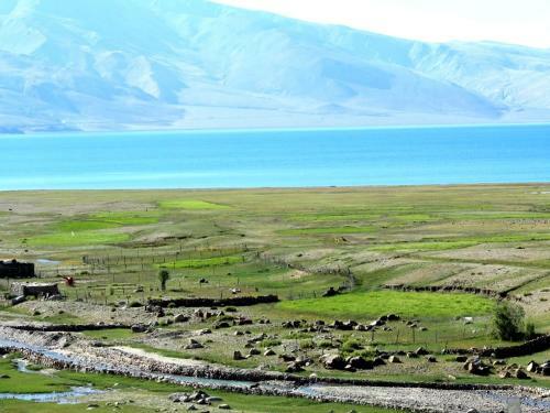 Tih Tsomoriri Hotel Lake View