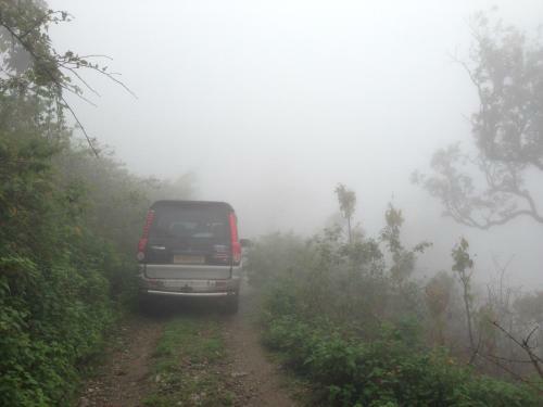 Tanhau