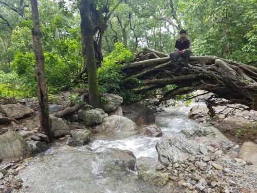 Tanhau