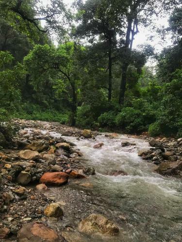 Tanhau