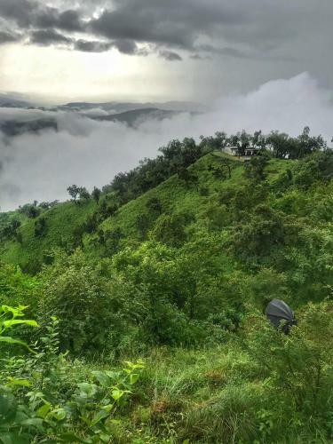 Tanhau