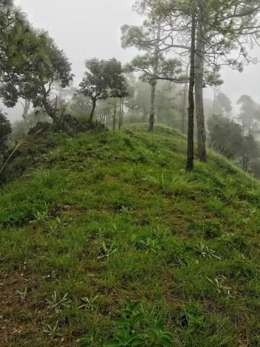 Tanhau