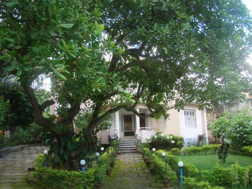 Deer Park Eco Home