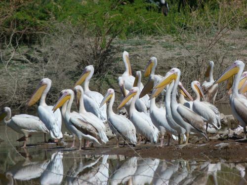 Agroturismo Hotel Chanoud Garh