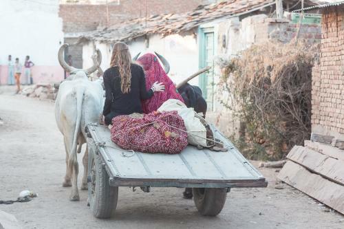 Agroturismo Hotel Chanoud Garh