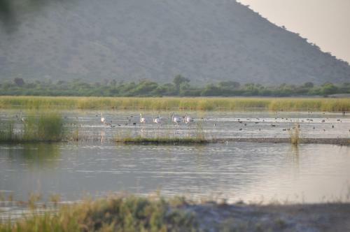 Agroturismo Hotel Chanoud Garh