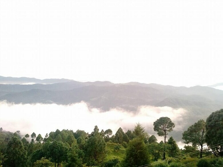 Hotel Kasang Regency Hill Resort