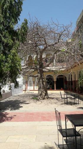 Hotel Bassi Fort Palace