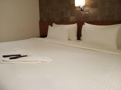Hotel Sai Regency