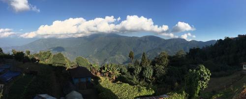 New Mountain Resort