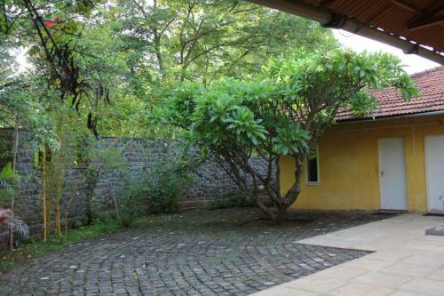Kerala Cottage Stay