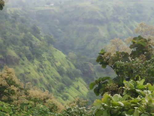 Amruta Homestays