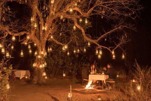 Baghvan Pench National Park - A Taj Safari Lodge