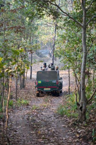 Baghvan Pench National Park - A Taj Safari Lodge