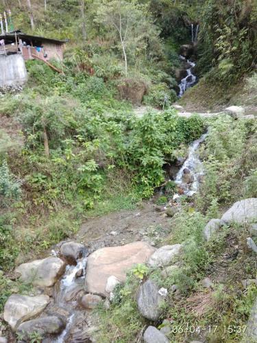 Smriti Homestay