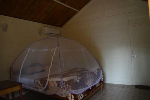 Hotel Kings Villa Resort