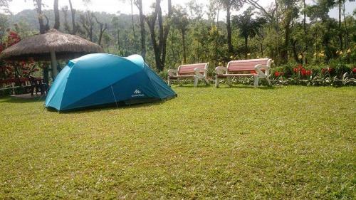 Moon Mist Home Stay