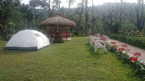 Moon Mist Home Stay