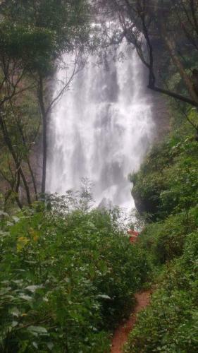 Moon Mist Home Stay