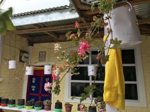 Ourguest Lachung Homestay