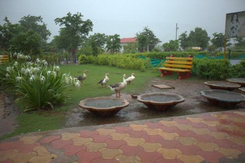 Deluxe Accommodation With Amazing Mountain View