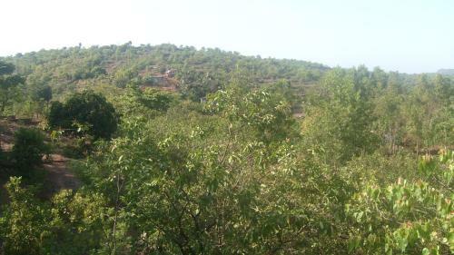Parijat Holiday Home