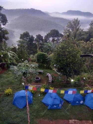 Hotel The Lost Hostel, Munnar