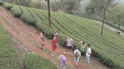Hotel The Lost Hostel, Munnar