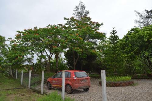 Bed & Breakfast Saffronstays Master's Courtyard