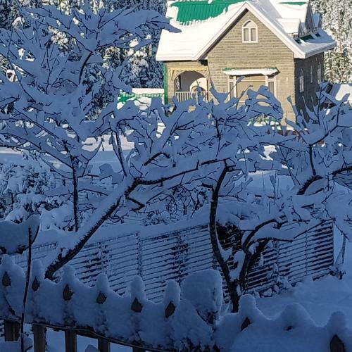Bed & Breakfast Khanabadosh