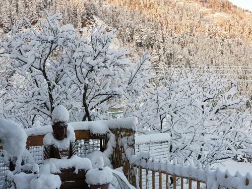Bed & Breakfast Khanabadosh
