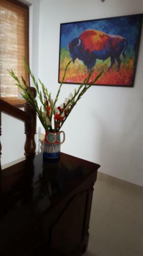 Bed & Breakfast Khanabadosh