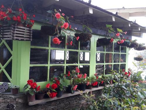 The Oak Trails Eco Lodge