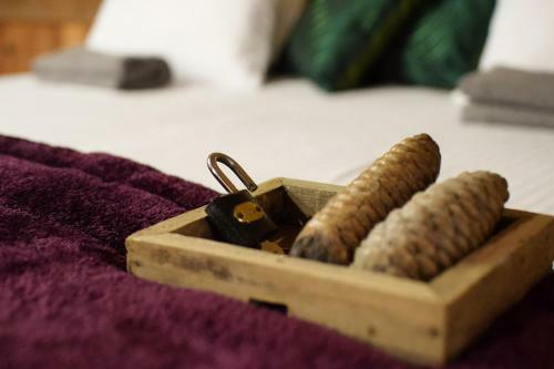 Albergue Thira Chanshal