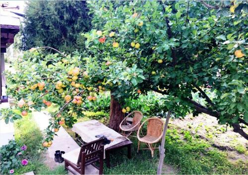 Hotel Beyond Stay - Lharje Resort