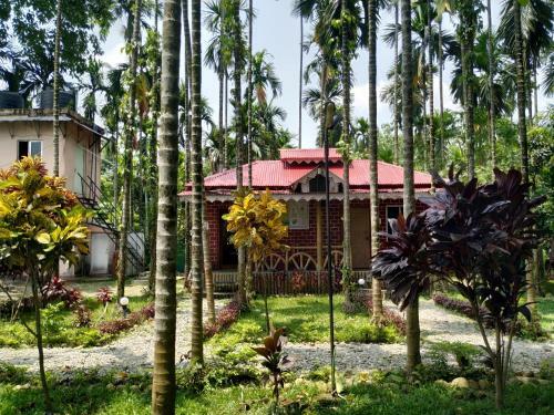Hotel Ayush Jungle Resort