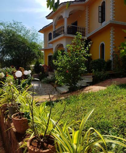 Hotel Cozywoods Hill Resort
