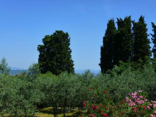 Luxurious Holiday Home In Pelago Italy With Pool