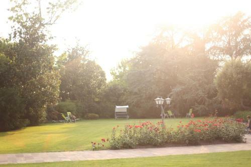 Domus Mariae B&B