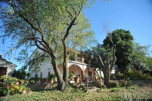 Agroturismo Poggio Moretto