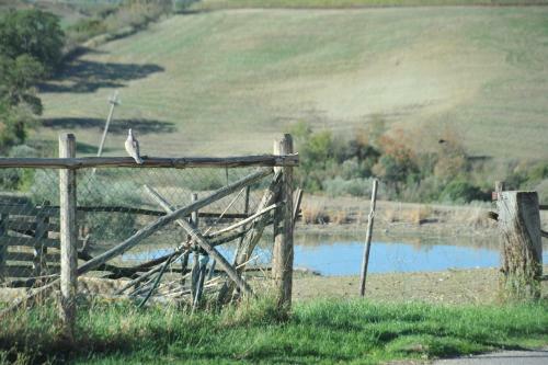 Agroturismo Poggio Moretto